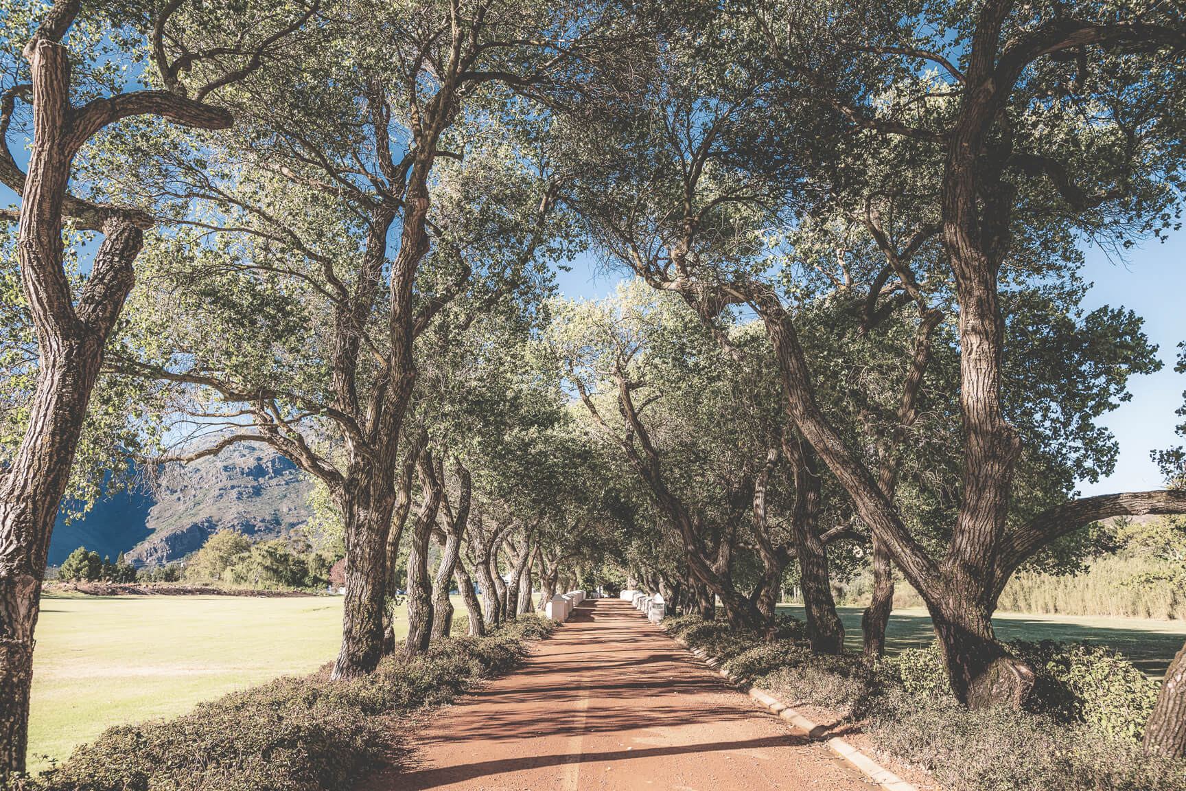 AR-Tasting-room-driveway-1