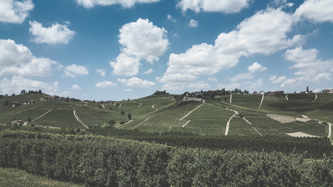 Vacca-di-Barbaresco-20-06-2017-