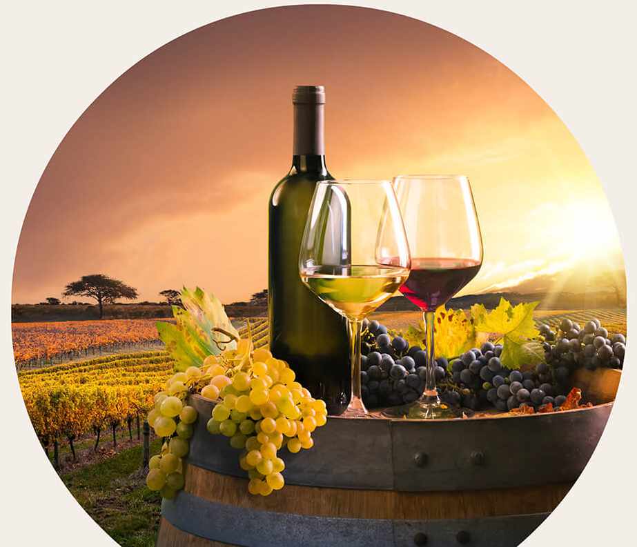 MyVino_Hero_1 MyVino_Hero_1